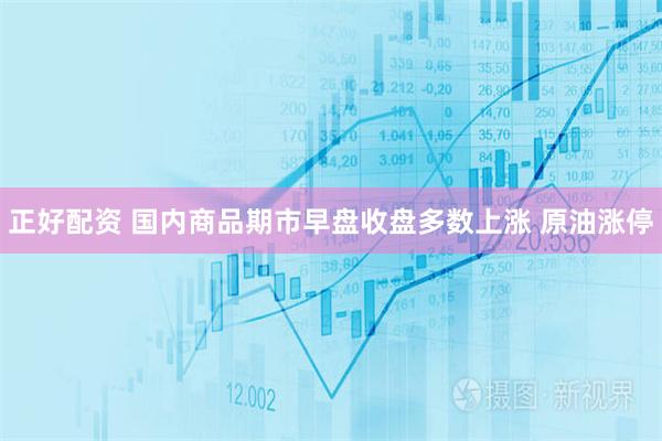 正好配资 国内商品期市早盘收盘多数上涨 原油涨停