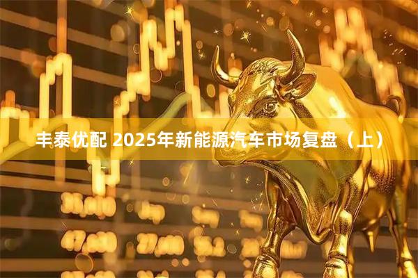 丰泰优配 2025年新能源汽车市场复盘（上）